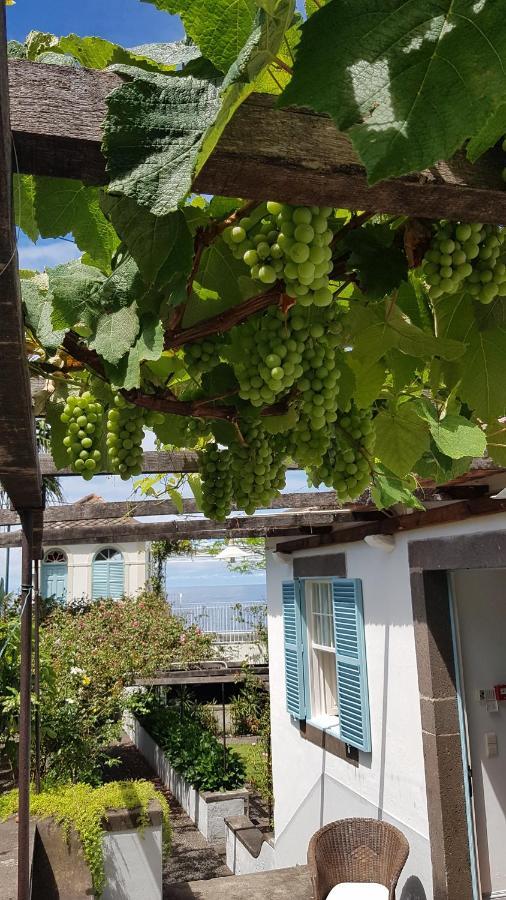 Casa Da Madalena Do Mar Βίλα Εξωτερικό φωτογραφία