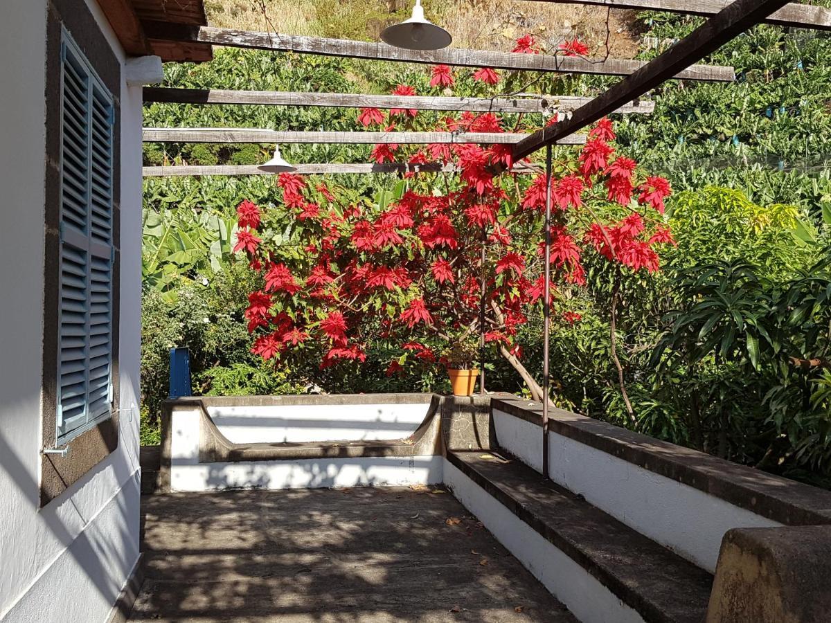 Casa Da Madalena Do Mar Βίλα Εξωτερικό φωτογραφία