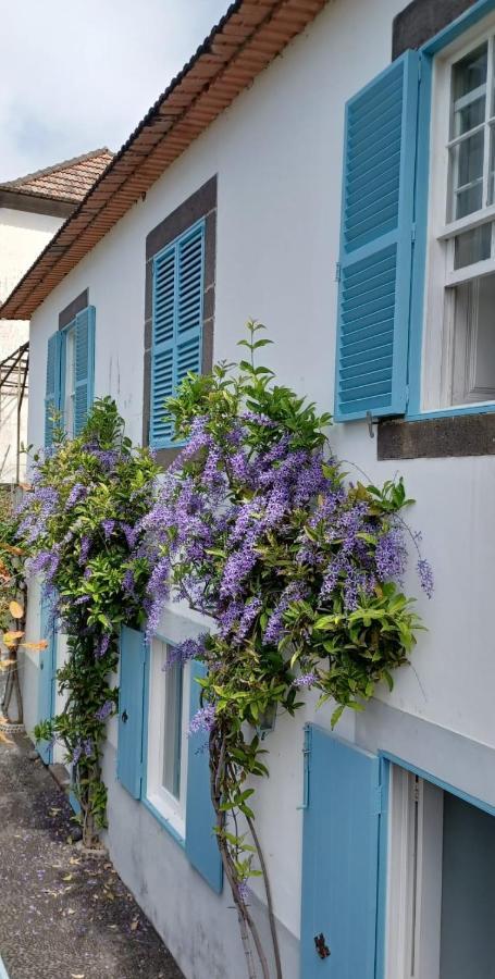 Casa Da Madalena Do Mar Βίλα Εξωτερικό φωτογραφία