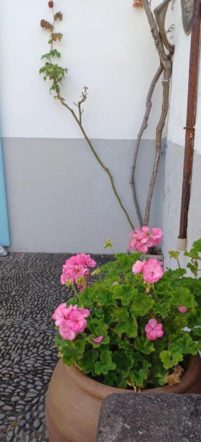 Casa Da Madalena Do Mar Βίλα Εξωτερικό φωτογραφία